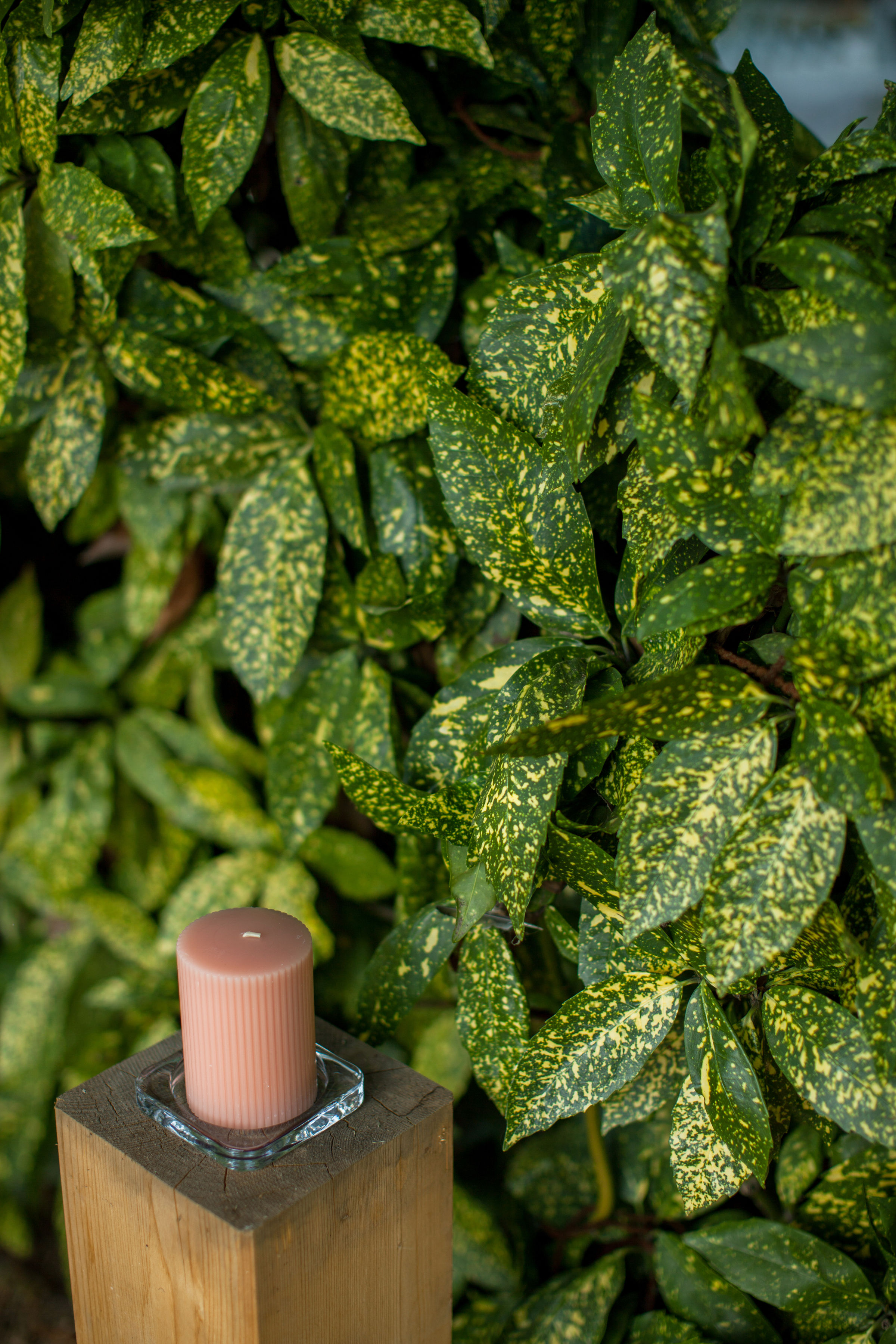 47